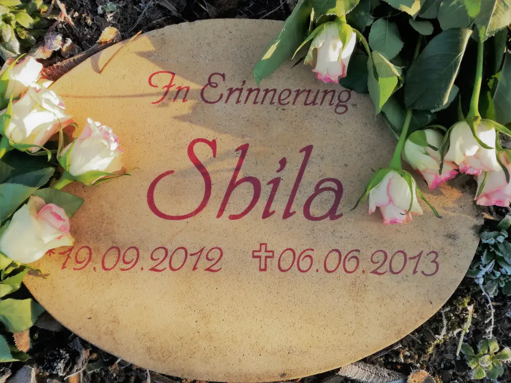 Bild von Shila