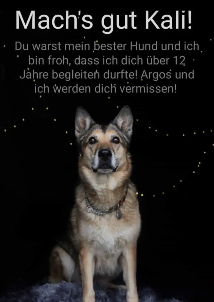 Image from Kali