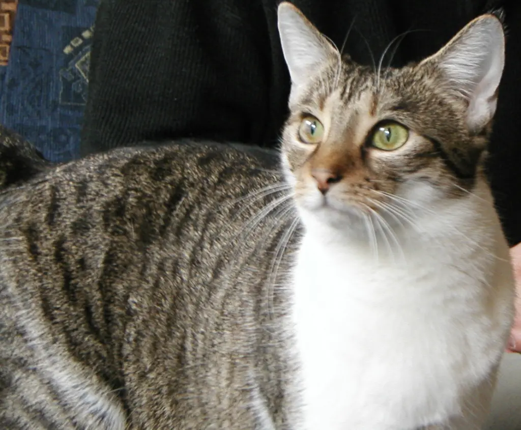 Condolence image of Thomas