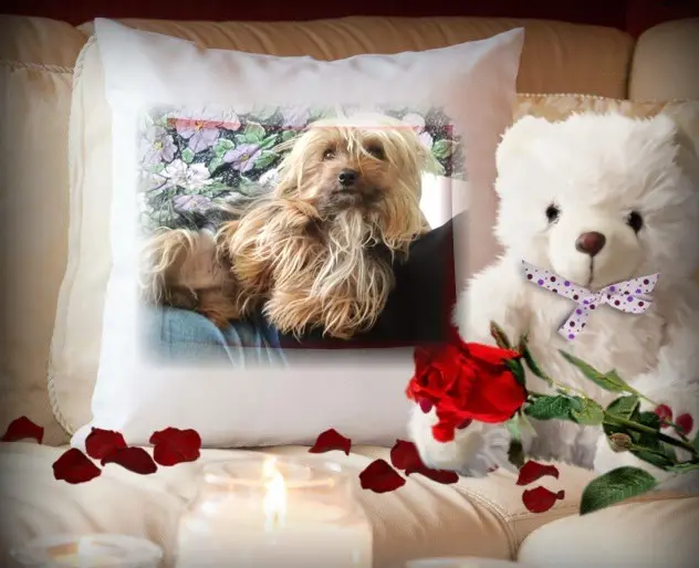 Condolence image of Sonntags❤️Rosen❤️❤️❤️❤️❤️❤️