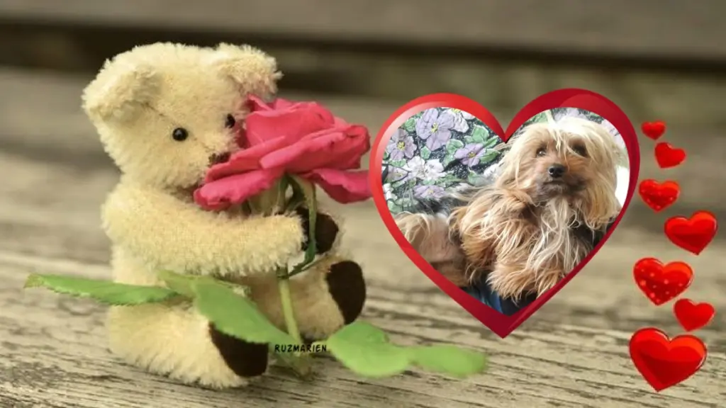 Condolence image of Wochenende❤️❤️❤️Rosen❤️❤️❤️❤️❤️❤️❤️❤️fur Hippolein❤️
