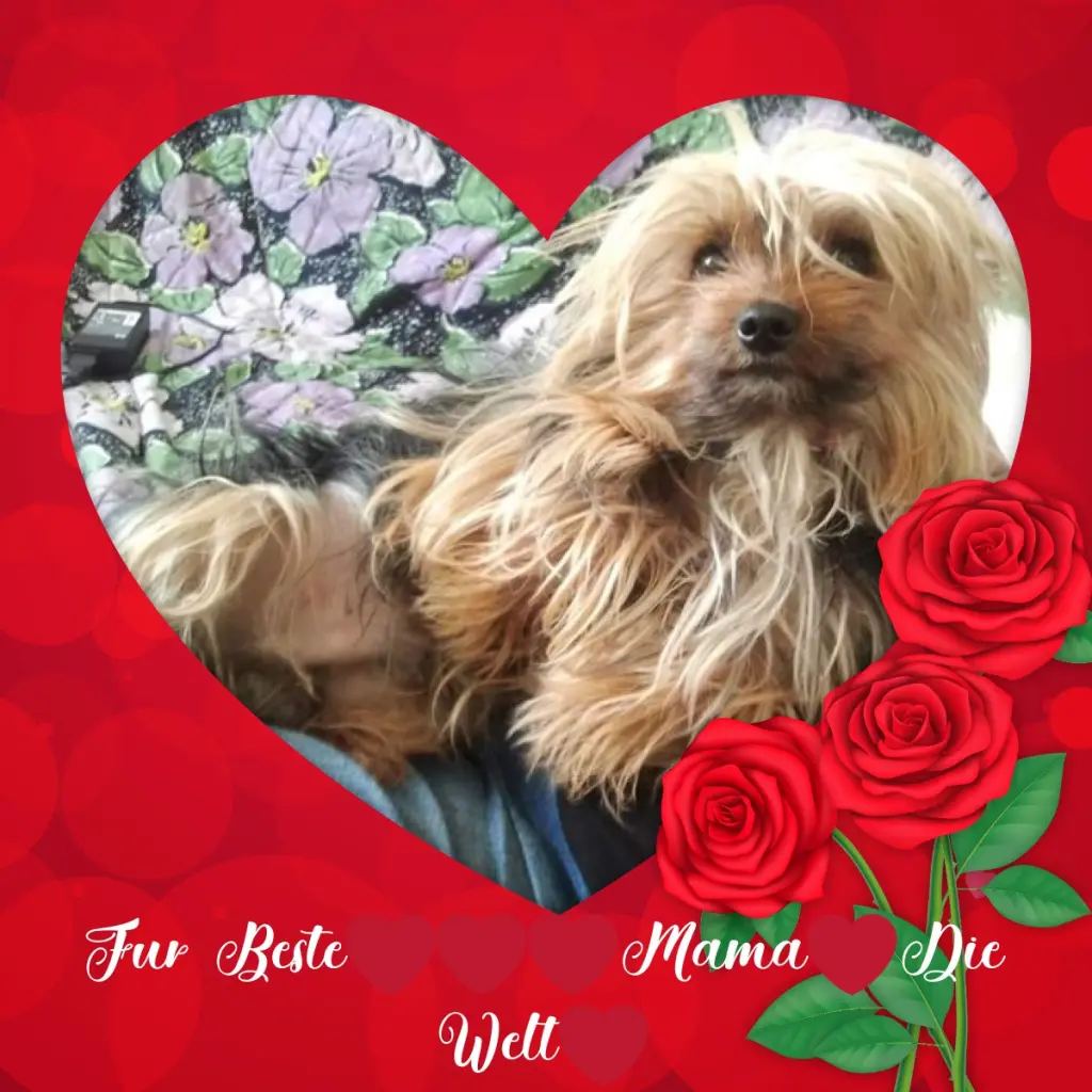 Condolence image of Rosen❤️❤️❤️fur Mama❤️