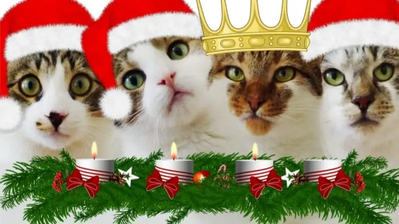 Condolence image of 3.Advent❤️❤️❤️Sonntag❤️