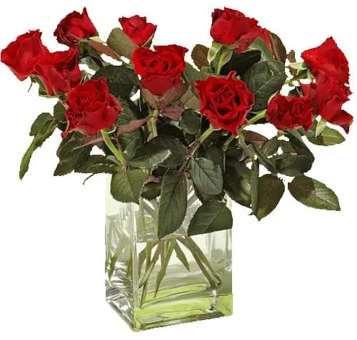 Condolence image of Christine
