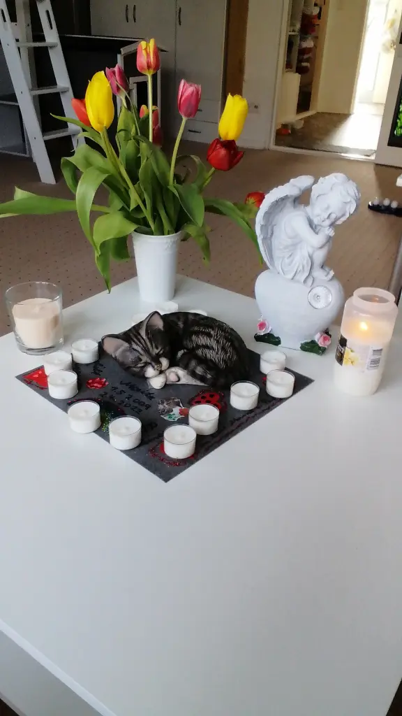 Image from Maja und Floh