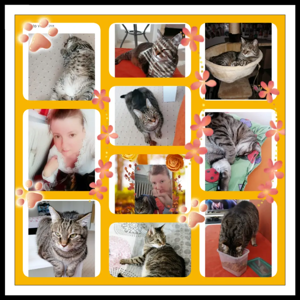 Image from Maja und Floh