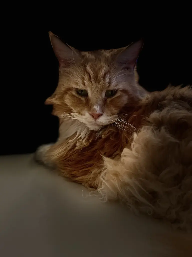 Condolence image of Elke