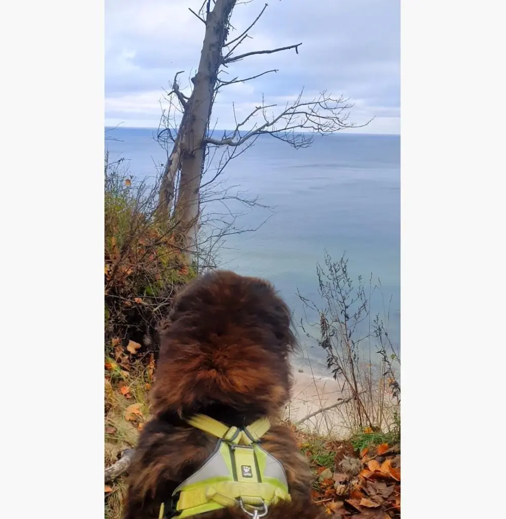 Image from Ben