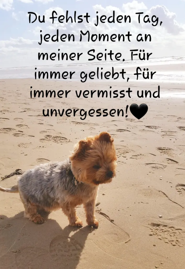 Condolence image of Deine Mama