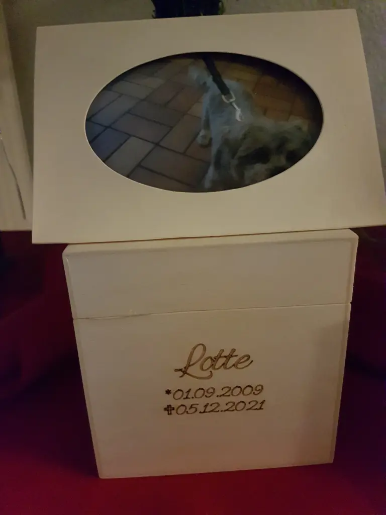 Image from Lotte
