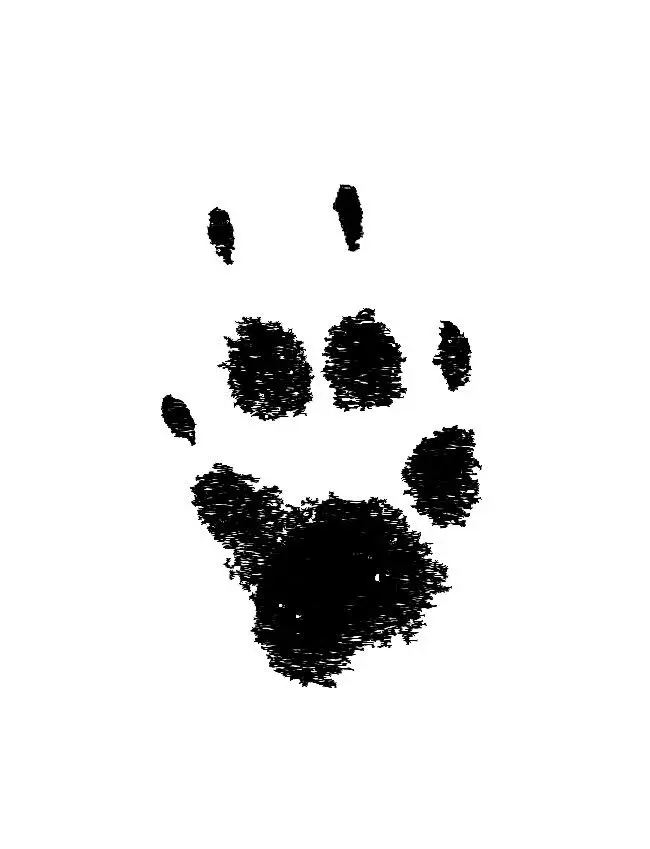 Image from Rasti