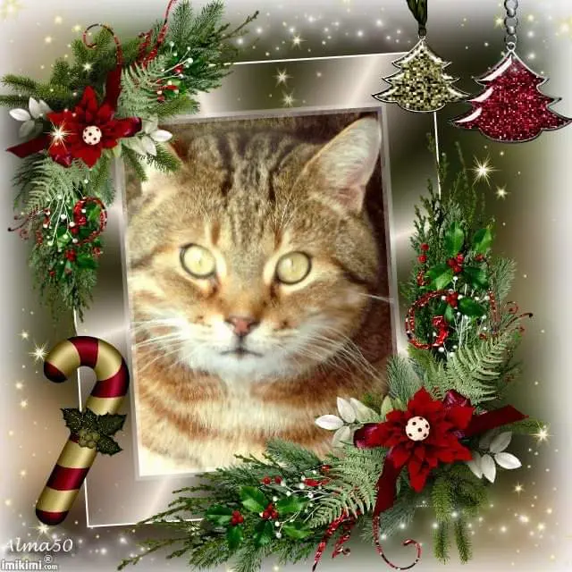 Condolence image of ROSWITHA 