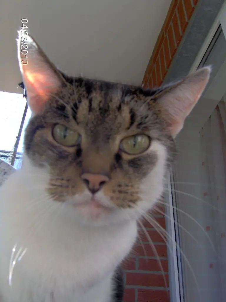 Image from Abbigail