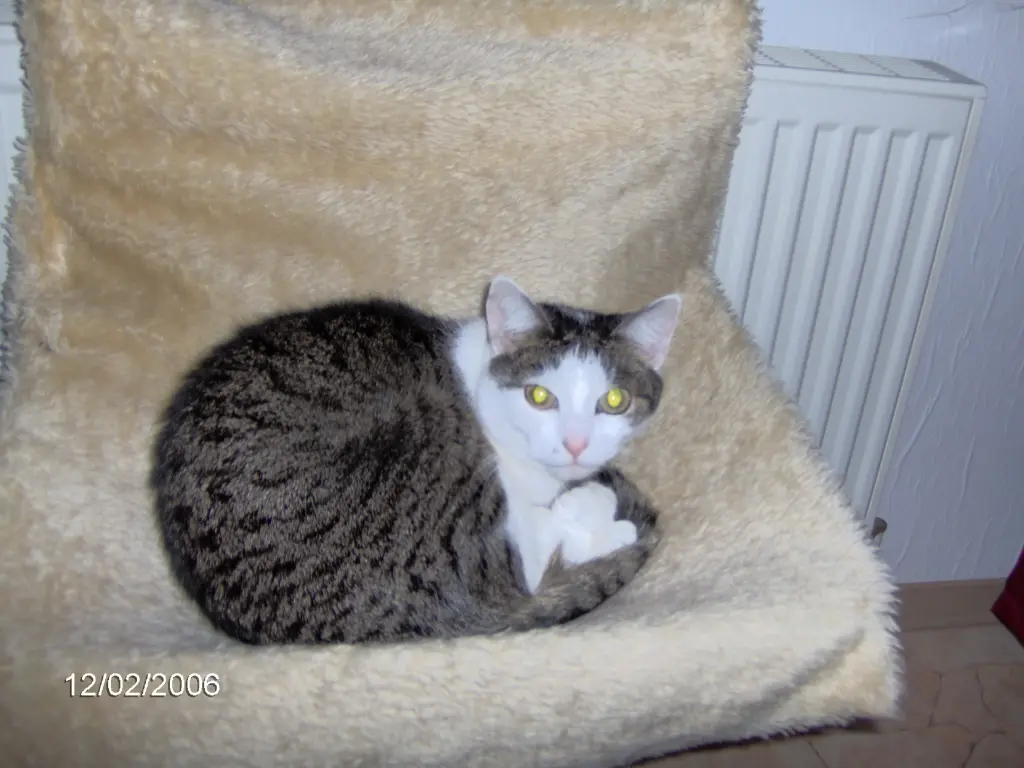 Image from Abbigail