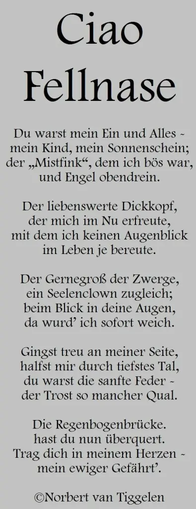 Condolence image of Andrea mit Minki im ❤ gest.19.10.2020