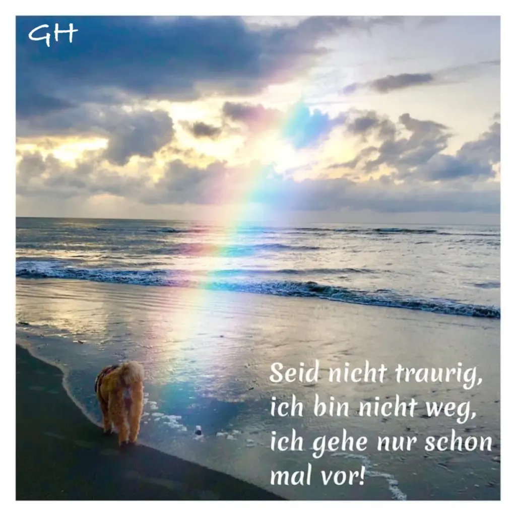 Condolence image of Gabi Hennig 