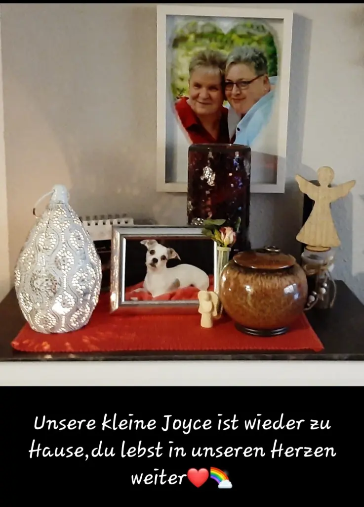 Image from Joyce