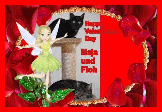 Condolence image of Christine mama von sternchenkatze Maja