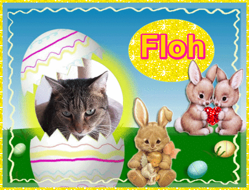 Image from Maja