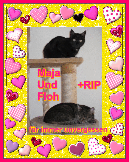 Image from Maja