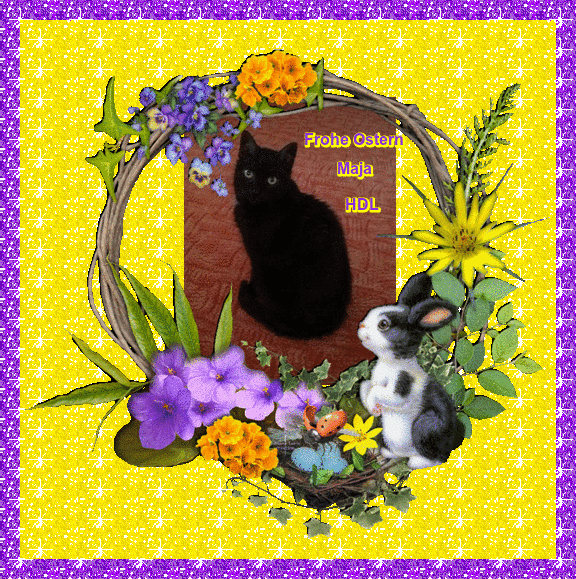 Image from Maja