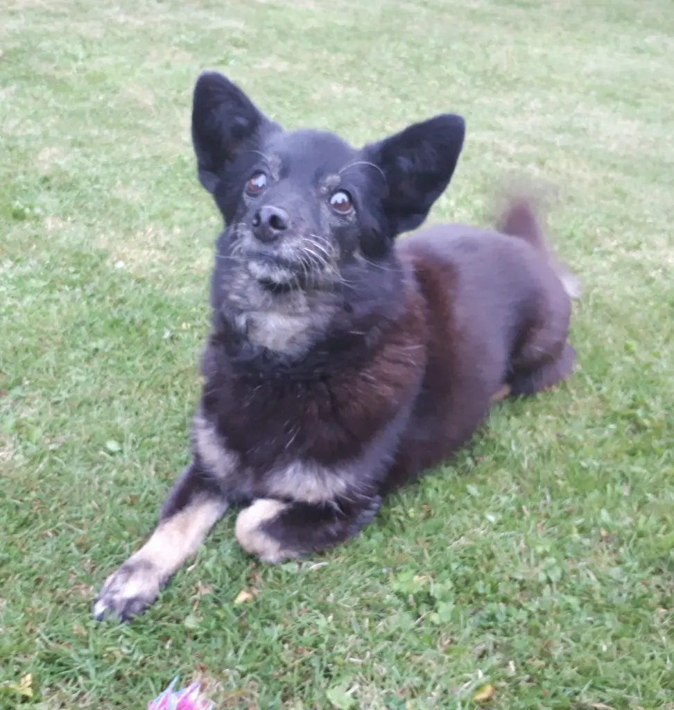 Condolence image of Annabelle