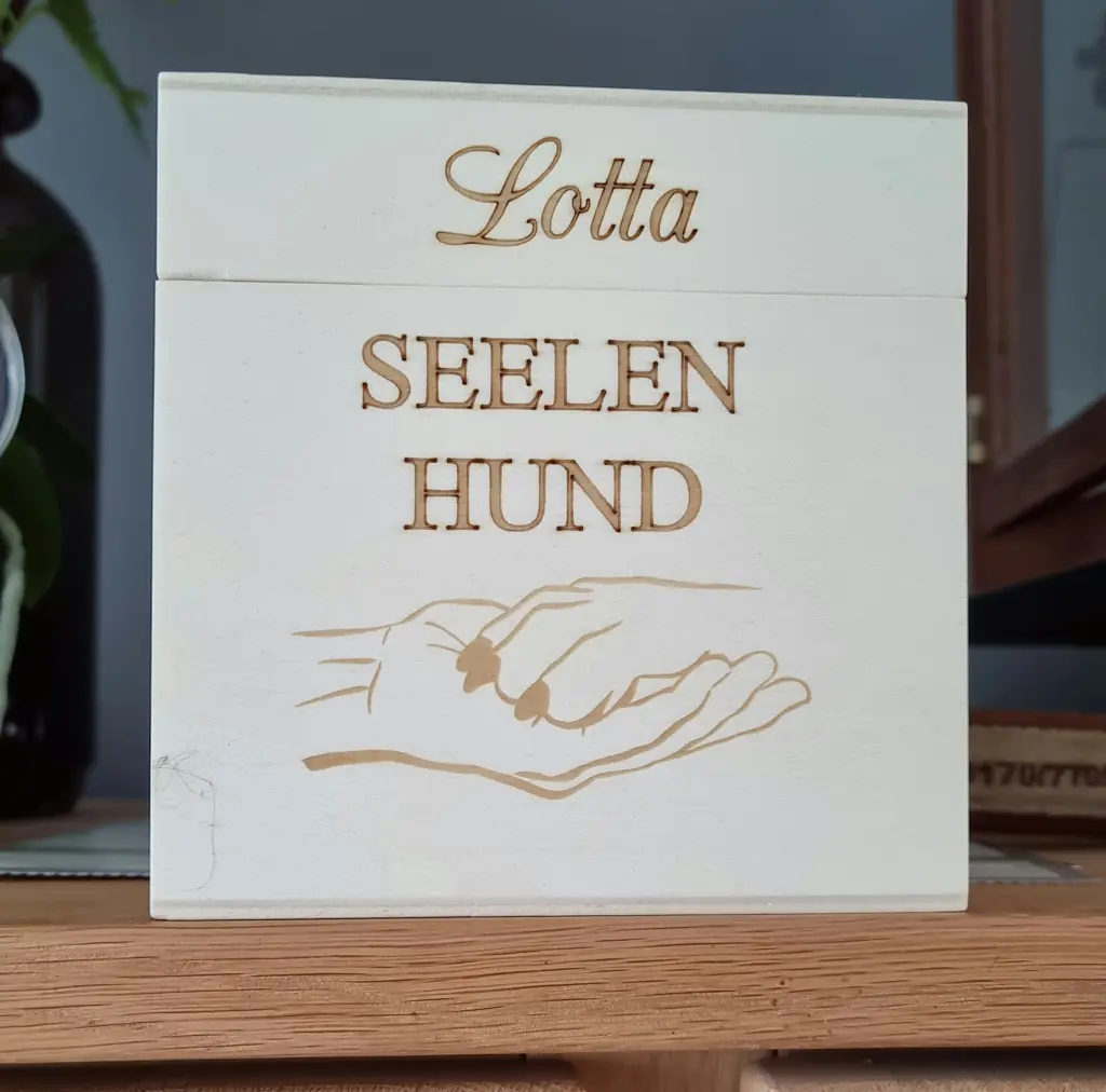 Image from Lotta