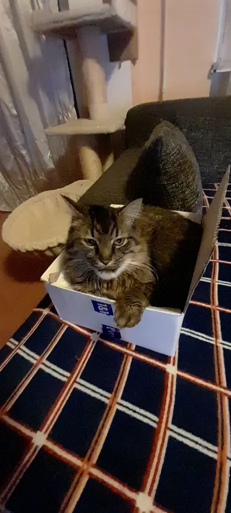 Image from Garfield