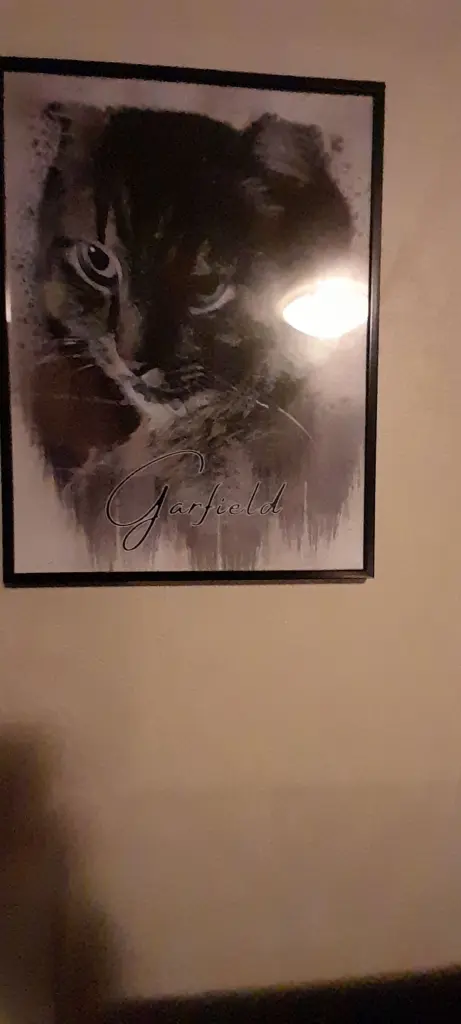 Image from Garfield