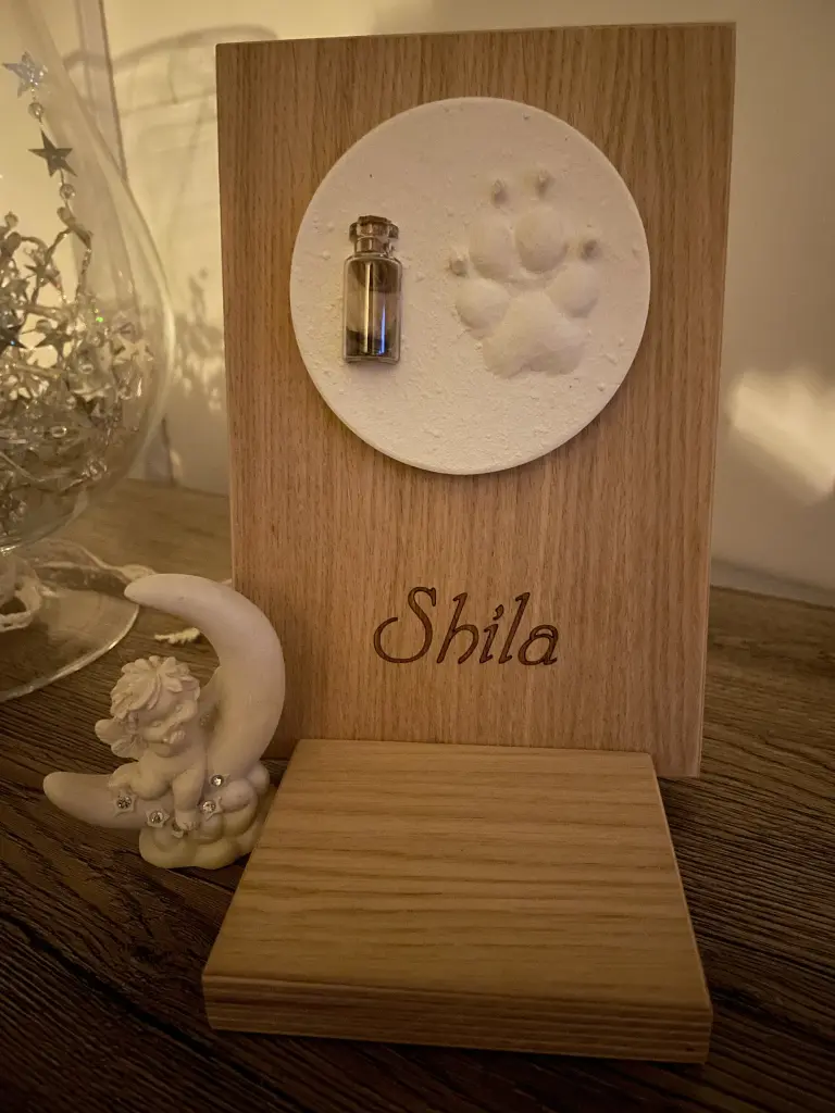 Condolence image of Markus & Martina mit Shila im ❤️