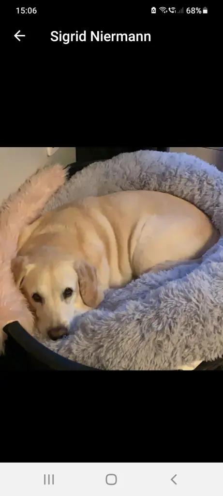 Andachtsbild von Insa