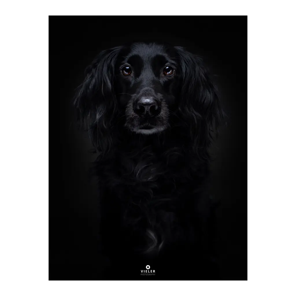 Image from Amy