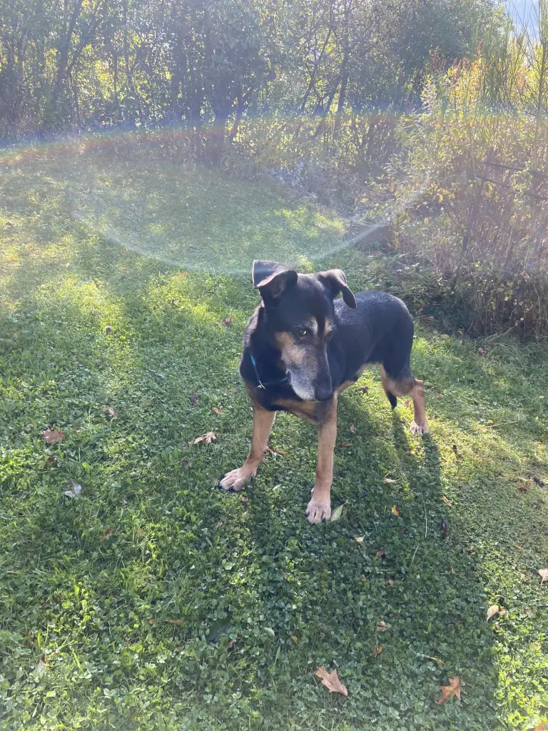 Image from Spike