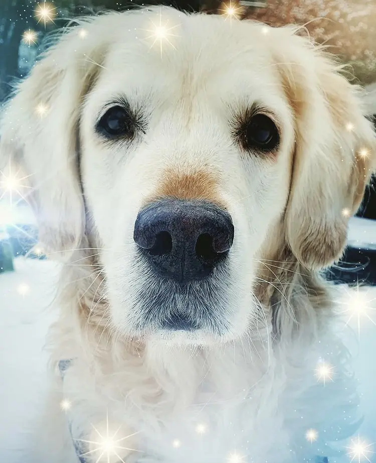 Condolence image of Biggi