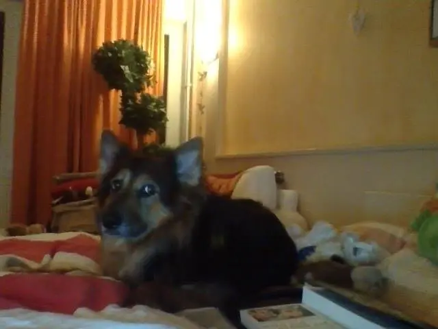 Andachtsbild von Diana