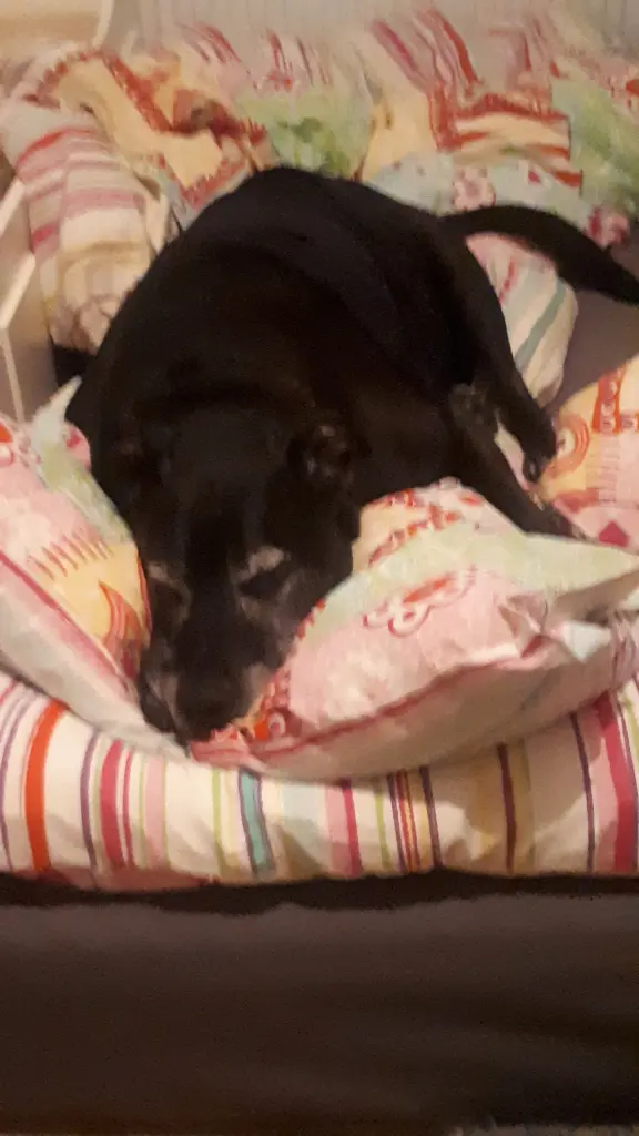 Condolence image of Sabrina