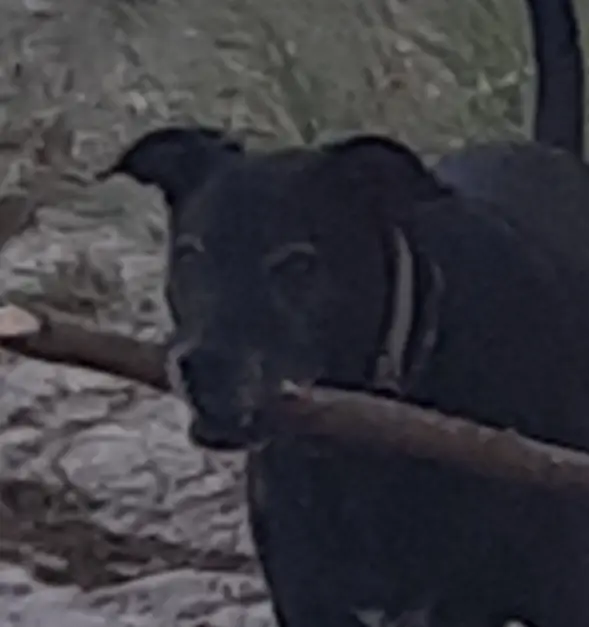 Image from Freddy