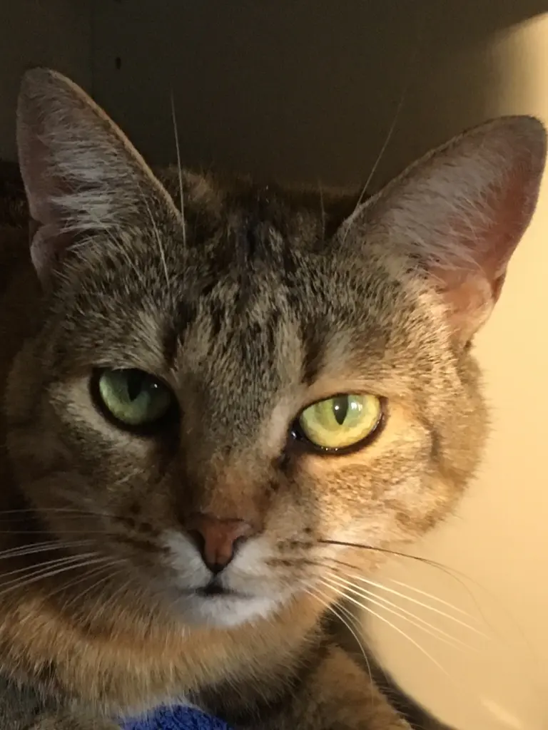 Image from Lily