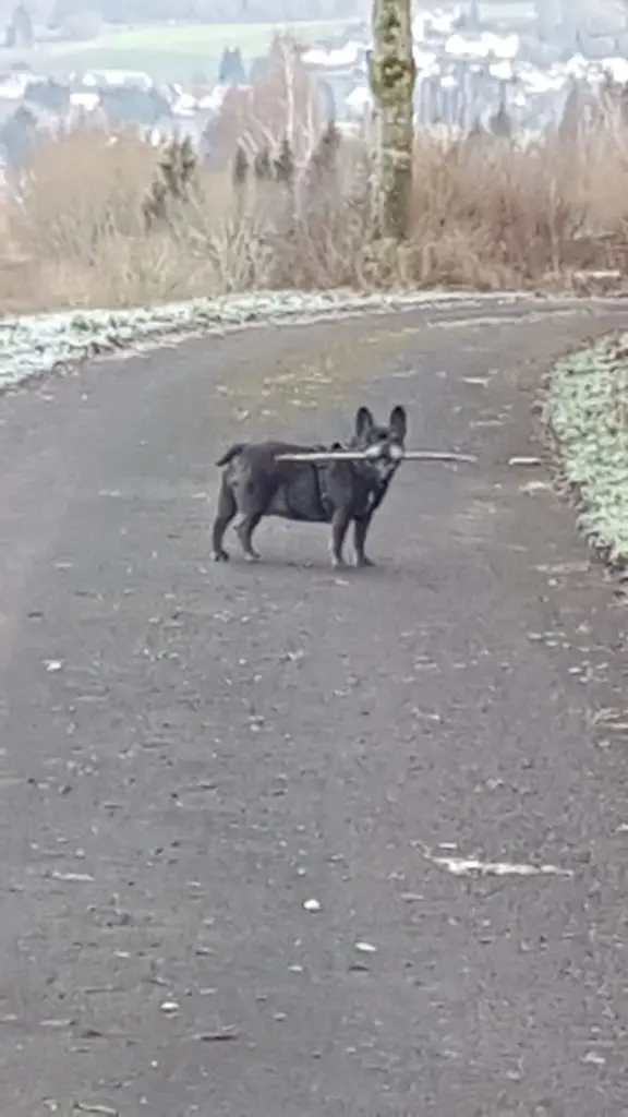 Andachtsbild von Alois und Gudrun mit Yoda im Herzen 