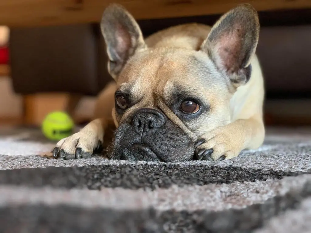 Andachtsbild von Uwe Simon