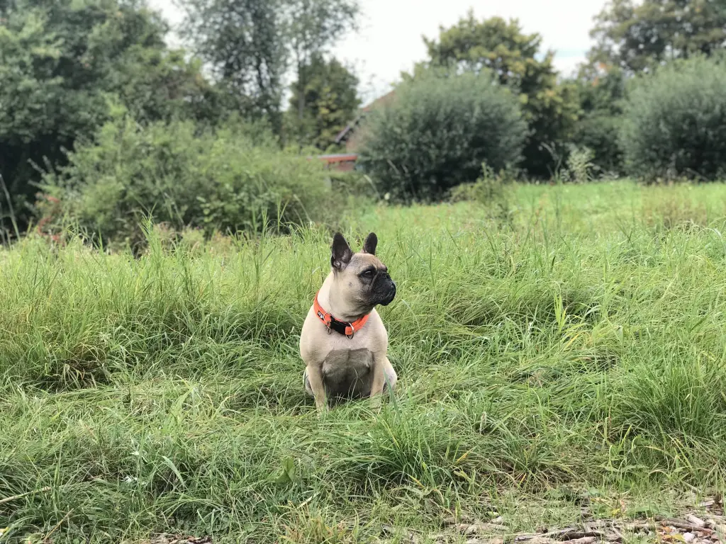 Bild von Enzo Spartacus