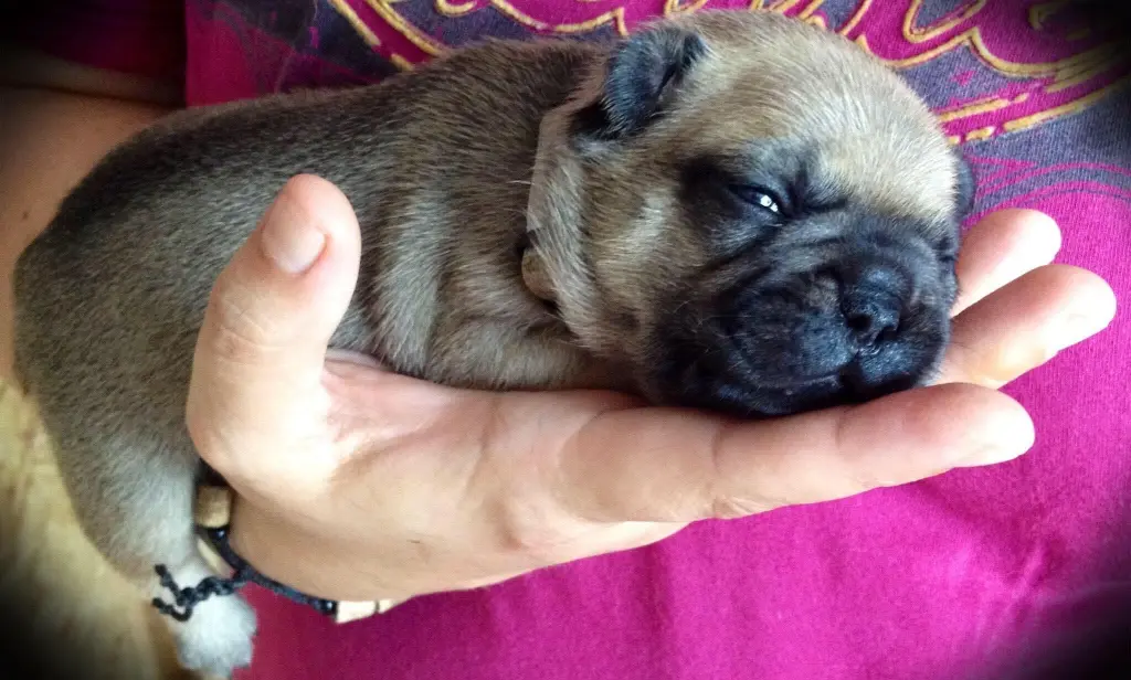 Bild von Enzo Spartacus