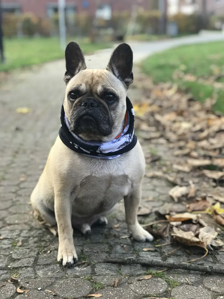 Bild von Enzo Spartacus