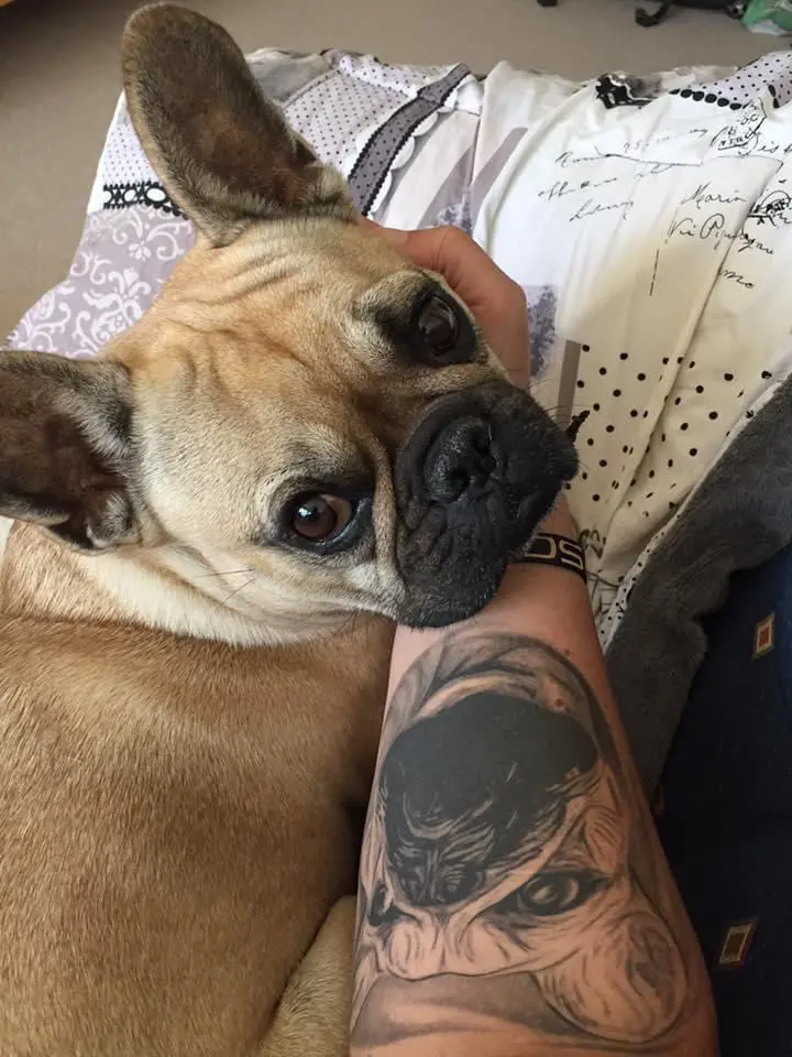 Bild von Enzo Spartacus