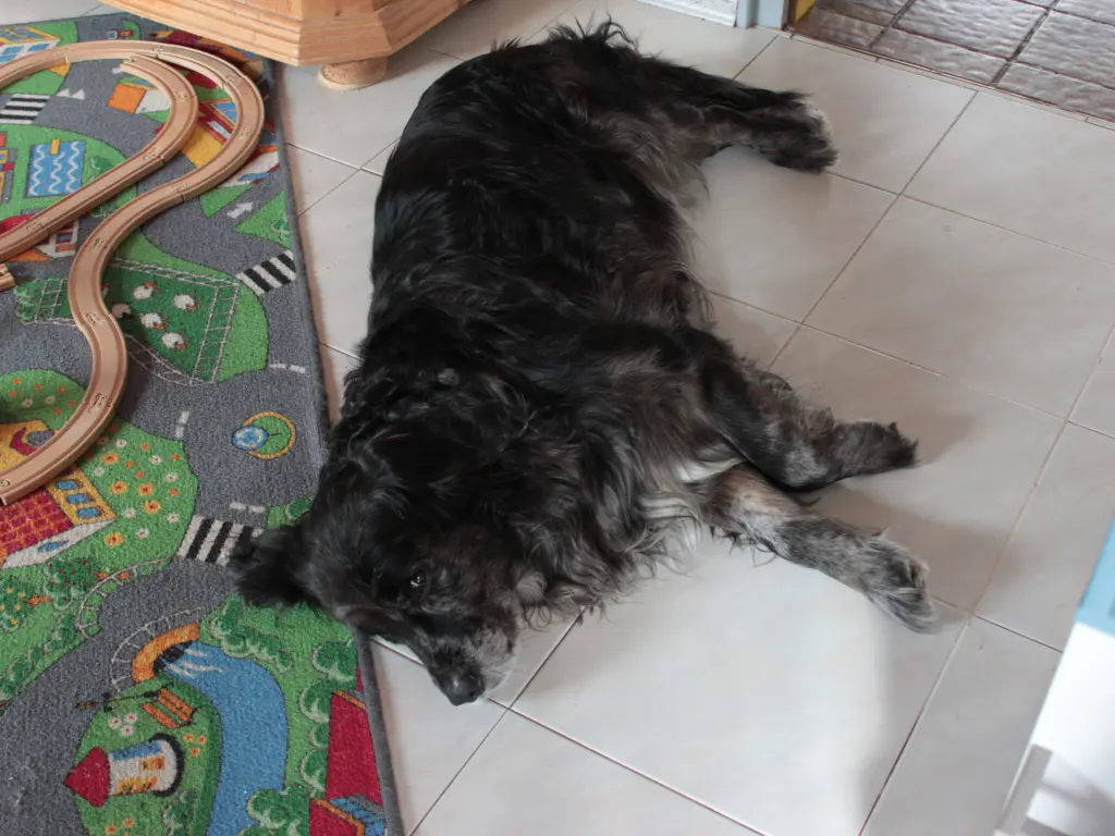 Condolence image of Rainer