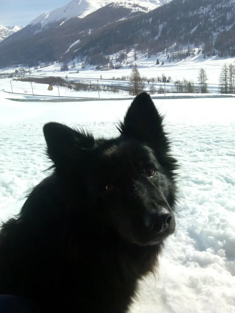 Image from Garou