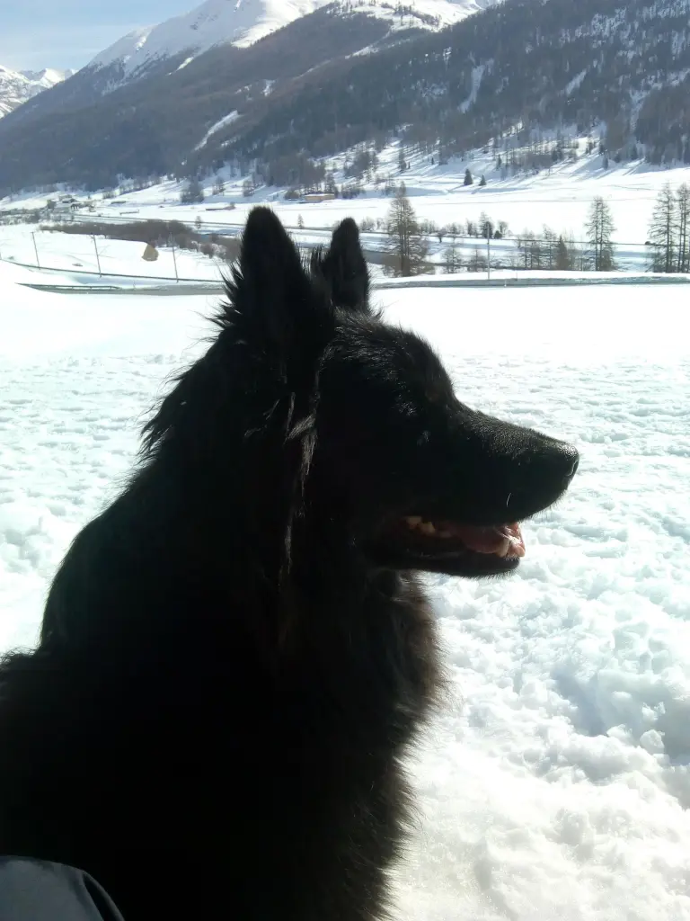 Image from Garou