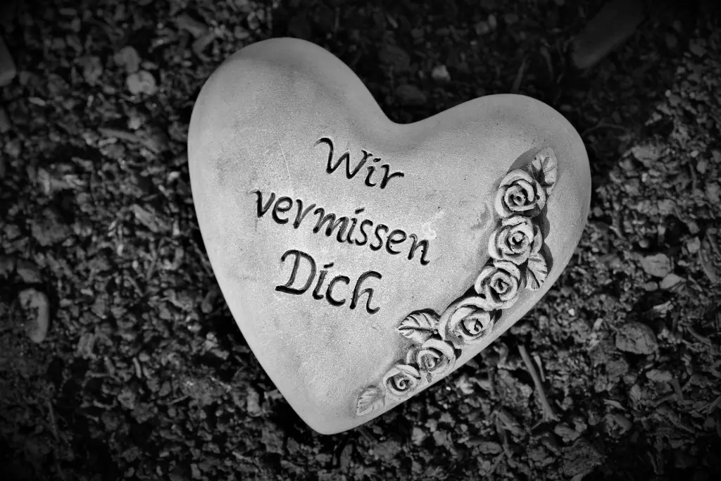 Image from Unsere Vierbeiner