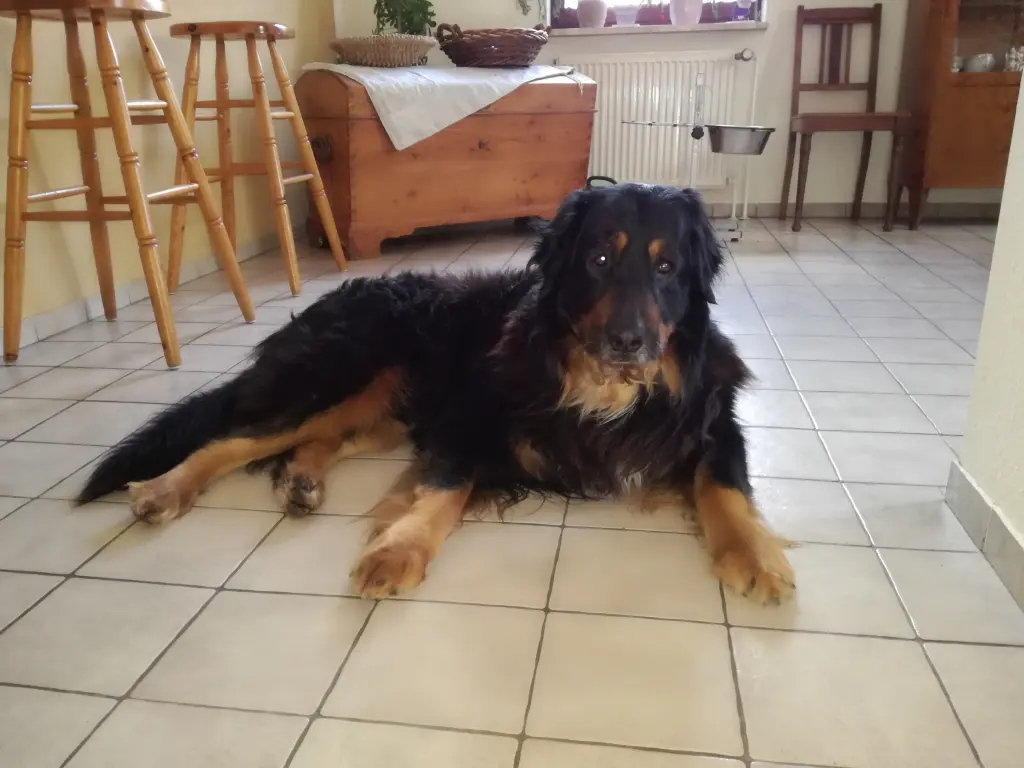 Image from Athos