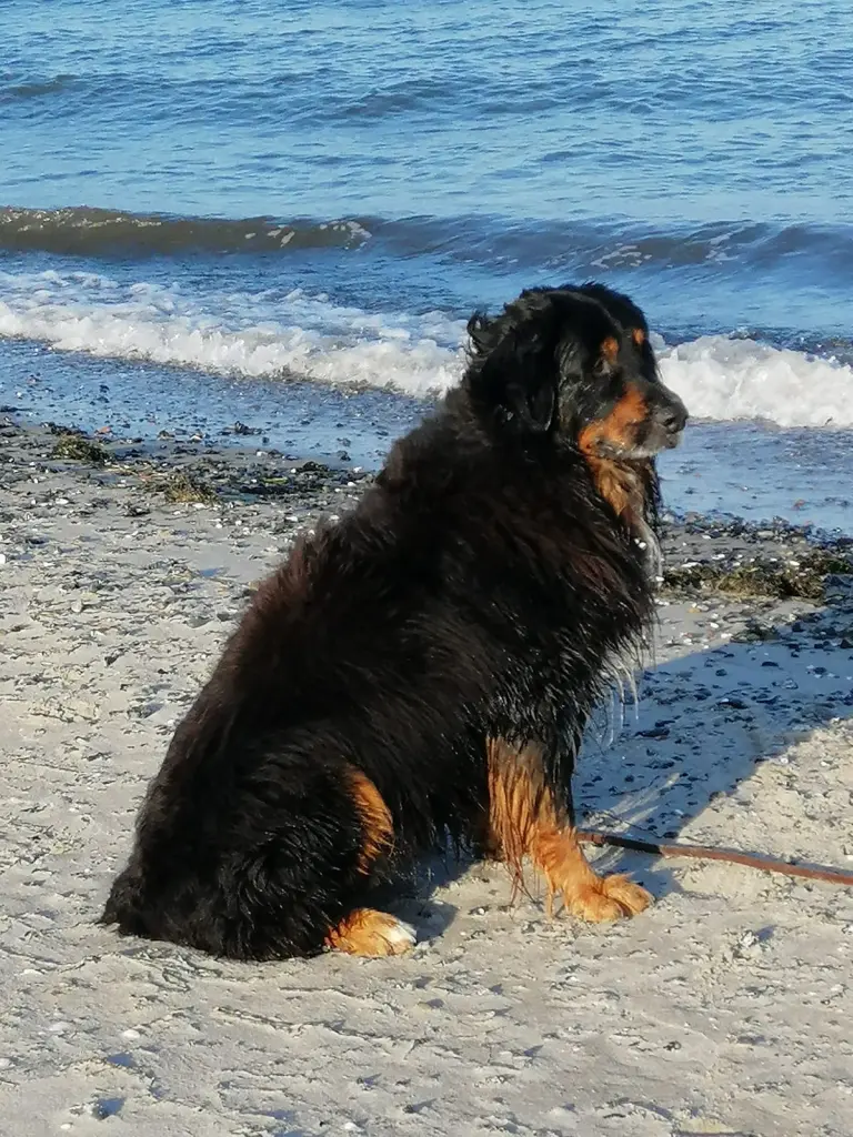 Image from Athos